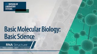 Basic Molecular Biology Basic Science – RNA Structure [upl. by Simons]