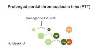 How to interpret a partial thromboplastin time PTT test [upl. by Cud794]