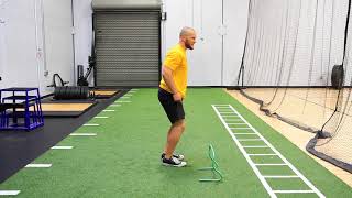 How To Kangaroo Jump  STS Hurdle  Performance Training Drill [upl. by Ekaj]