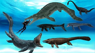 20 Largest Mosasaurs that Once Ruled the World [upl. by Saravat]