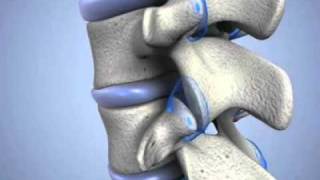 Learn about Cervical Facet Joints [upl. by Derrick]