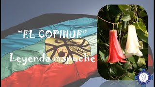 LEYENDA MAPUCHE quotEL COPIHUEquot [upl. by Miles813]