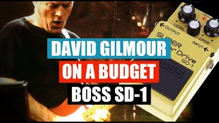 How to sound like David Gilmour on a budget  Boss SD1 [upl. by Sayre561]