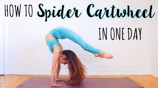 How to do a Spider Cartwheel in One Day [upl. by Ramah566]