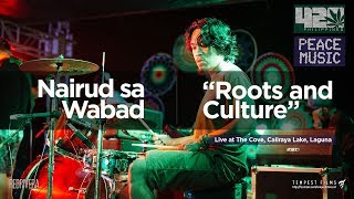 Mikey Dread  Roots and Culture Cover by Nairud sa Wabad w Lyrics 420 Philippines Peace Music 6 [upl. by Euqilegna]