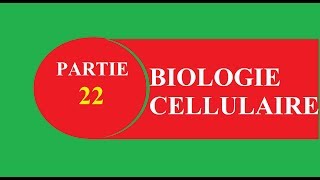 Cours biologie cellulaire partie 22 fin chloroplaste  البيولوجي بالدارجة [upl. by Jim]