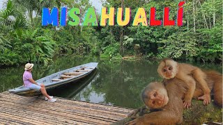 Un PARAÍSO en el AMAZONAS  Misahuallí 🐒  Josué y Eli [upl. by Ekyt]