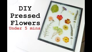 DIY PRESSED FLOWERS in UNDER 5 MINUTES [upl. by Wyatan]