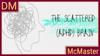 Understanding the scattered ADHD brain [upl. by Magdala]