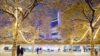 Toronto Holiday Christmas Lights and Skating at City Hall After Snowfall [upl. by Dominica]