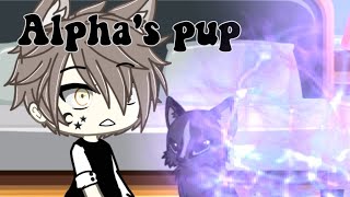 Alphas pup Full EpisodeGacha Life  Read desc [upl. by Drofla]