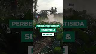 PERBEDAAN PESTISIDA SISTEMIK DAN KONTAK [upl. by Douty]