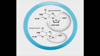 Antiviral animation Acyclovir [upl. by Kenzie]