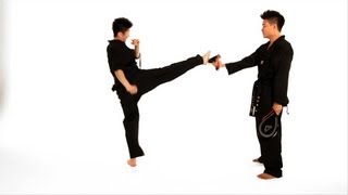 How to Do a Roundhouse Kick  Taekwondo Training [upl. by Flatto]