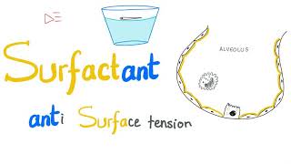 Lung Surfactant  Surface Tension  Alveoli  Type II Pneumocytes  NRDS  Physiology [upl. by Carn]