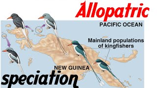 Allopatric speciation animation [upl. by Lemak981]