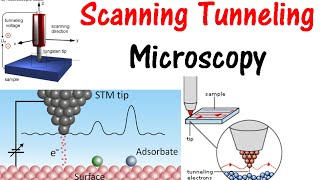 Scanning tunneling microscopy [upl. by Patt]