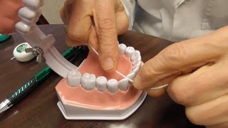 How to Floss The Right Way [upl. by Biron]