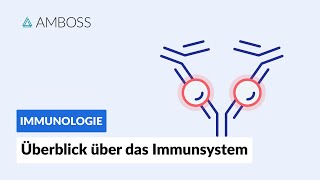 Überblick über das unspezifische und spezifische Immunsystem  Immunologie  AMBOSS Video [upl. by Ojela]