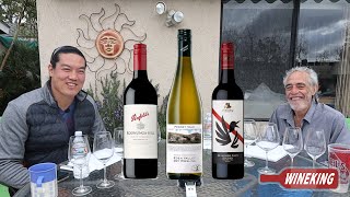 Breaking Down AustralianNew Zealand Wines Penfolds and d’Arenberg [upl. by Changaris443]