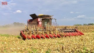 16 row Corn Combine Case IH 8240 AxialFlow [upl. by Ahsimot]