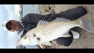 Catching GIANT Spotted GRUNTERS In Durban Harbour FishingLife Fishing Grunter DurbanHarbour [upl. by Slavin]