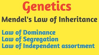 Genetics  Mendels Law of Inheritance  Pravin Bhosale [upl. by Anilasor439]