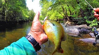 The BEST Lures For Creek Fishing Multiple Species [upl. by Pisarik]