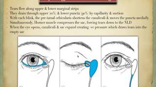 Anatomy of the lacrimal system [upl. by Bucher]