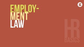 HR Basics Employment Law [upl. by Anelam]