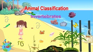 Invertebrate Animals  Educational Video Classification of Invertebrates [upl. by Yoo]