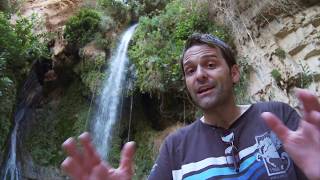 Why is Ein Gedi so historically significant [upl. by Eanehs]