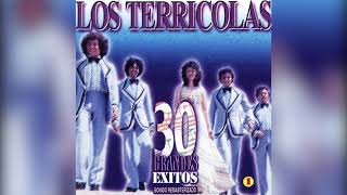 Los Dandys  Sus Mejores quot20 Super Exitosquot Disco Completo [upl. by Cirri899]