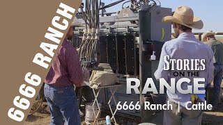 6666 Ranch Cattle Program [upl. by Pallas]