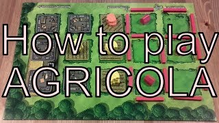 How to play Agricola in 3 minutes [upl. by Aehtorod669]