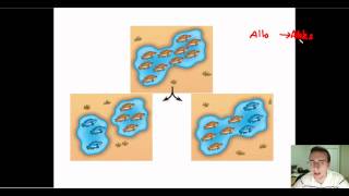 Speciation Part 1 Allopatric vs Sympatric [upl. by Chloe821]