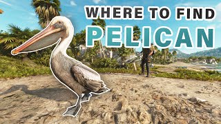 How and WHERE to Feed the Pelicans ► Far Cry 6 [upl. by Letnahc80]