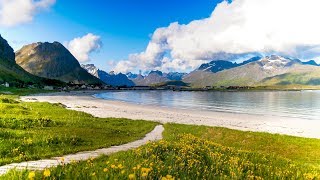 Uplifting Music  light positive happy music Gullrosøya  1 hour [upl. by Enneirda]