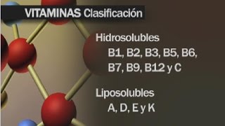 ¿Qué son las vitaminas [upl. by Eirtemed]