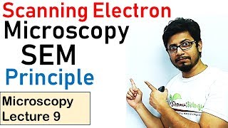 Scanning electron microscope principle working SEM [upl. by Esilec]