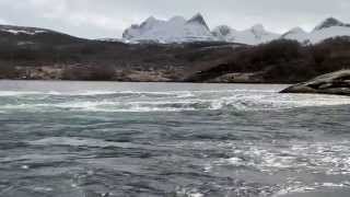 Rib safari to Saltstraumen in Norway [upl. by Ecissej]