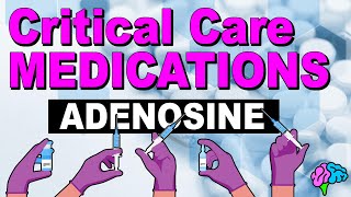 Adenosine  Critical Care Medications [upl. by Lunsford558]