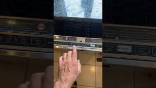 Spotless Dishwasher Results with Cascade Platinum Plus [upl. by Josh]