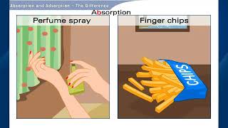 Understand Absorption and Adsorption Chemistry  Class 9 [upl. by Adaiha]