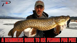 A Beginners Guide To Ice Fishing For Pike [upl. by Anua232]