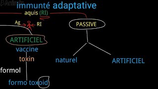 immunité adaptative acquisL2 [upl. by Eissirhc]