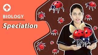 Speciation  Biology [upl. by Ama]