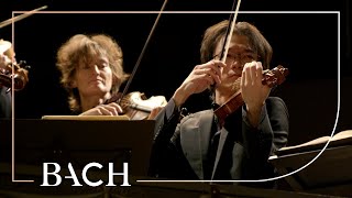 Bach  Orchestral Suite no 1 in C major BWV 1066  Sato  Netherlands Bach Society [upl. by Atinat]