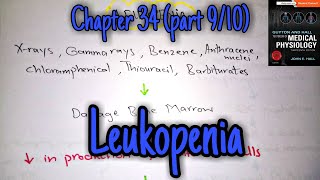 Leukopenia chapter 34 part 9 Guyton and Hall text book of physiology [upl. by Ahsinan]