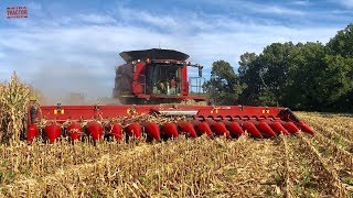 2019 Corn Harvest 16 Rows At a Time Case IH 9240 Combine [upl. by Inaliel]